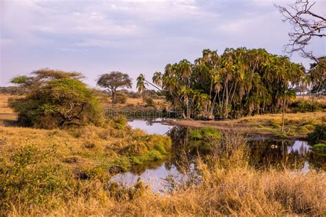 River And Lake In Beautiful Landscape Scenery Of Serengeti National