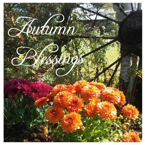 Autumn Blessings Picture Quote Fallautumn Quotes
