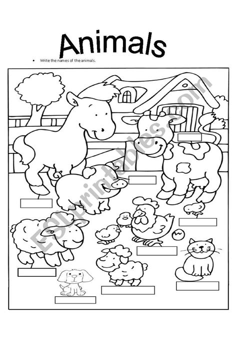 Colour The Animals And Write The Names Esl Worksheet By Ednag55