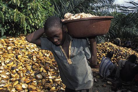 More than 1.5m children are working in west africa's cocoa production supply chains despite pledges by major international food brands to stop using child labour, a new report has found. is your chocolate slave free : simplebooklet.com