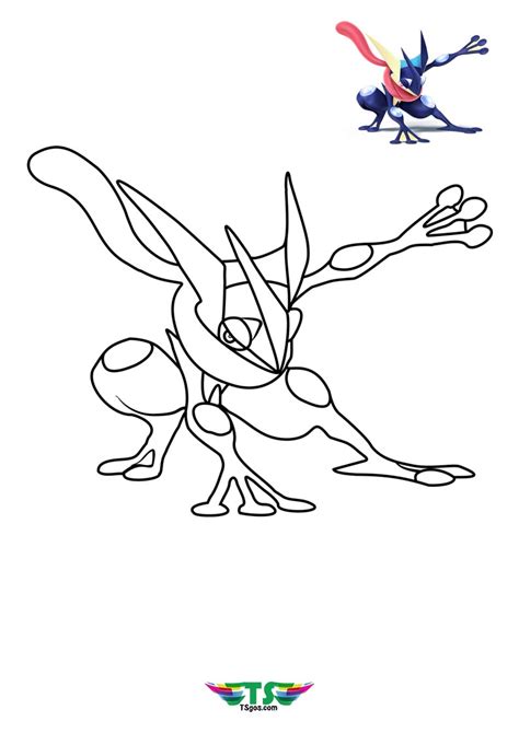 Greninja Pokemon Coloring Page For Kids