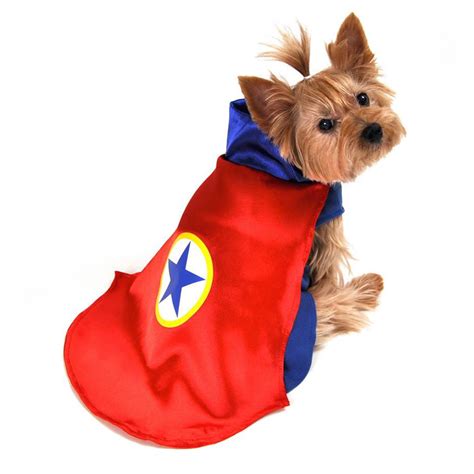 Superhero Dog Halloween Costume By Anit Red Baxterboo