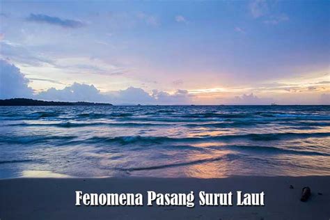 Browse menu and order your favorite air pasang seafood food today. Fenomena Pasang Surut Air Laut - Kanal Pengetahuan dan ...
