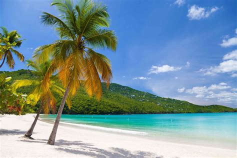 Best Beach On St Thomas Virgin Islands St Thomas Beach Guide