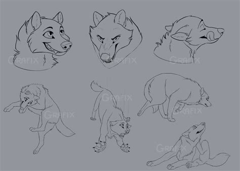 Wolf Sketch Sheet Only 12 For All Pose By I Grafix On Deviantart