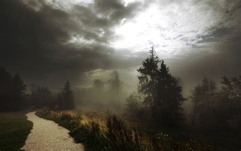 Road Sunlight Dirt Road Trees Forest Nature Mist Clouds Path