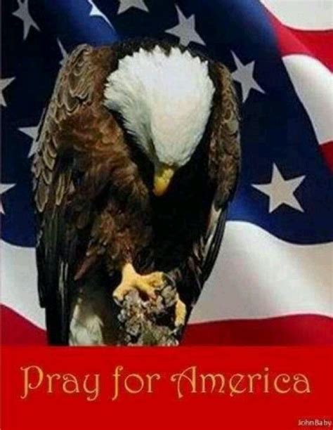 Pray For America Beautiful Eagle With Our Flag God Bless America