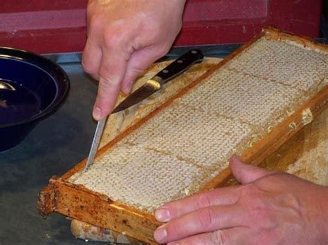 The Hows And Whys Of Producing Comb Honey Mother Earth News