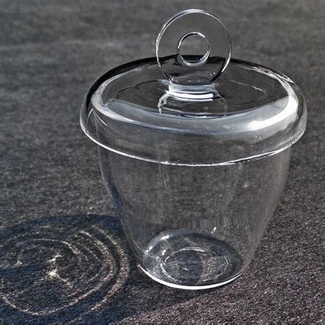 1pcs Lab Glass Quartz Crucible With Lid Cover 5 300ml High Temperature Resistant In Beaker From