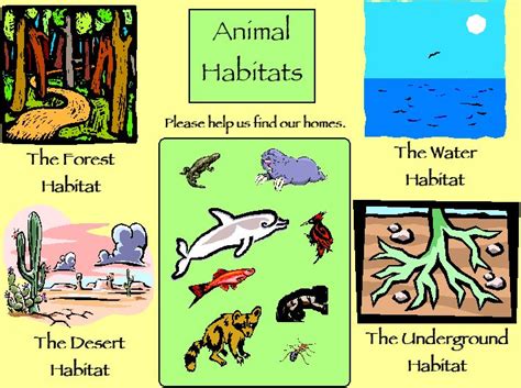 Top 104 Animals Their Habitats And Adaptations