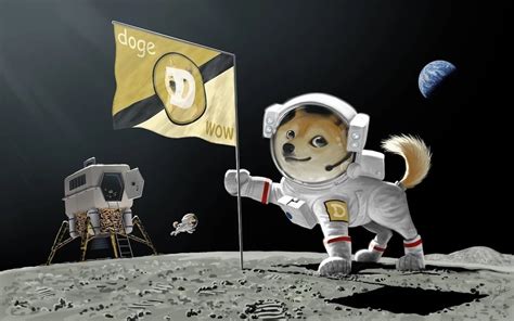 Spacex Announced The Launch Of Doge 1 Satellite To The Moon In 2022