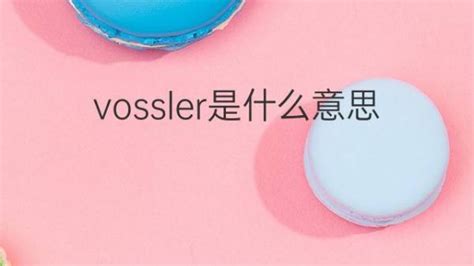 vossler是什么意思 vossler的翻译、中文解释 下午有课