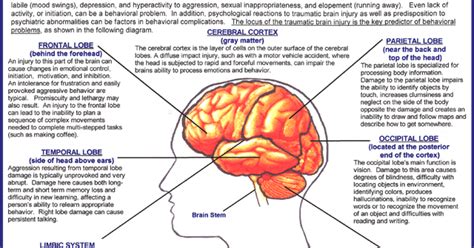 Muddling Through Mayhem Books And Methods Review Traumatic Brain