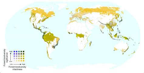Bivariate Map Of Forest Biodiversity Significance And Intactness
