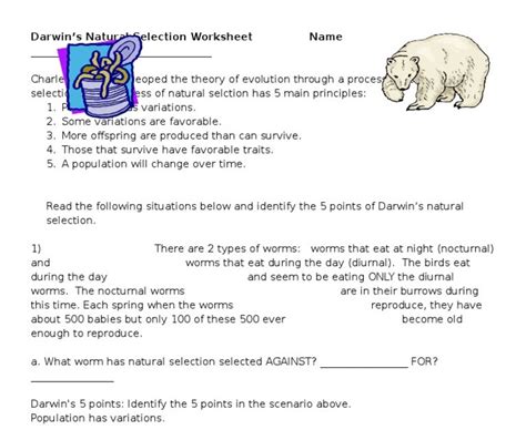 Key, darwin s theory of. Darwins Natural Selection Worksheet Answers - Darwin's Natural Selection Worksheet in 2020 ...
