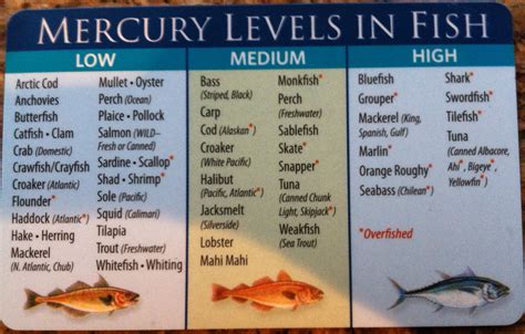 There are different contraceptive devices available in the market. Mercury levels in fish vs vaccine mercury