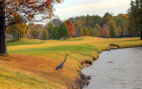 Old Hickory Golf Club Best Golf Courses In St Louis