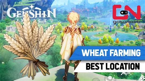 Genshin Impact Best Wheat Farming Spot Springvale Wheat Location