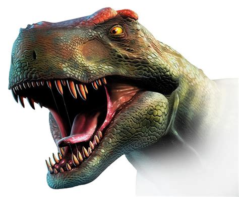 Tyrannosaurus Rex Head Study Photograph By Mark Garlick Pixels