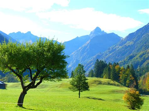 Landscape Mountains Trees · Free Photo On Pixabay