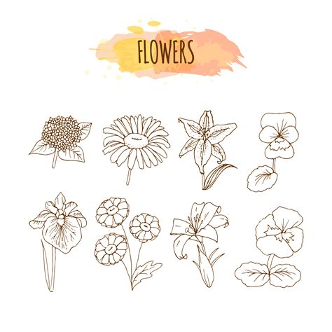26 Best Ideas For Coloring Hand Drawn Flowers
