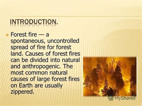 Презентация на тему Forest Fire A Spontaneous Uncontrolled Spread Of