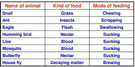 Cbse Grade 7 Science Chapter 2 Nutrition In Animals