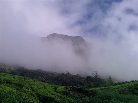 Mountain Mist At Munnar Kerala Gounesco Go Unesco