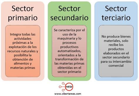 Caracteristicas Del Sector Terciario En Mexico Cibertareas