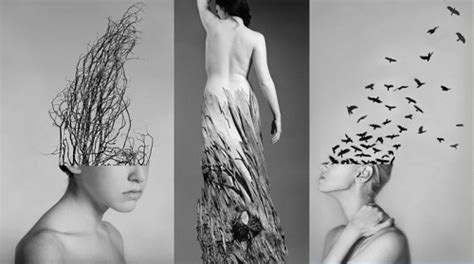 Дерево люди с признаками птиц в фотоколлажах Alexandra Bellissimo