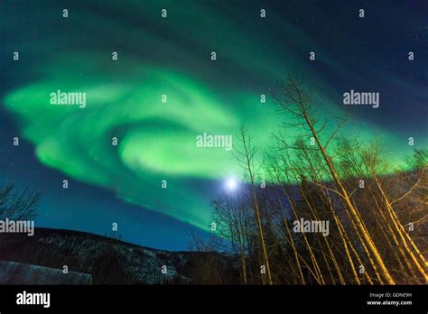 Aurora Borealis Northern Lights Near Chena Resort Near Fairbanks
