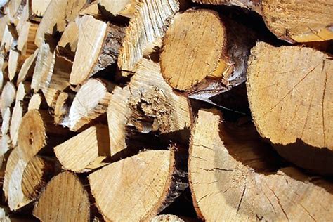 Le bois comme matériel de construction des extensions, carctéristiques ...