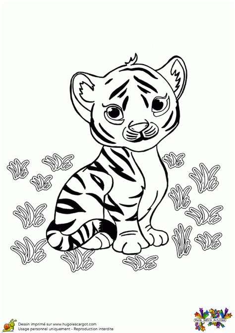 Coloriage Bébé Tigre PrimaNYC com