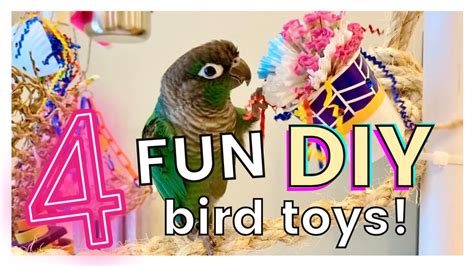 4 Fun And Cheap Diy Bird Toys Youtube