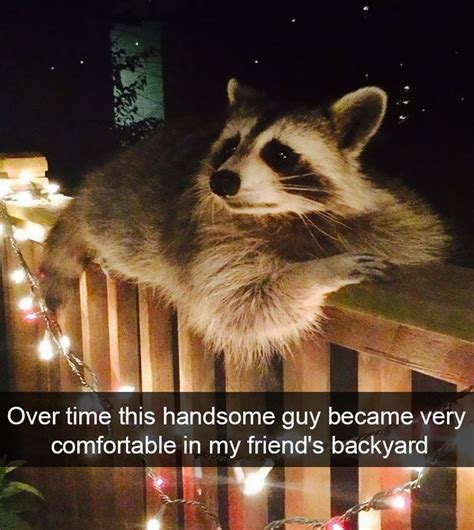 175 Hilarious Animal Snapchats Guaranteed To Make You Laugh Out Loud