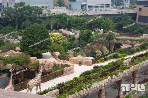 Ark Garden At Noah S Ark Ma Wan Hong Kong Stock Photo Picture And