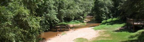 Maybe you would like to learn more about one of these? Lake Houston Wilderness Park