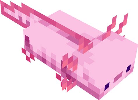 Axolotl Minecraft Mobs Tynker
