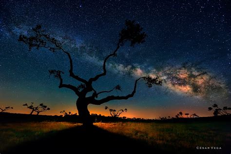 Glow Shadow Exposure Night Milky Way Tree Landscape Stars