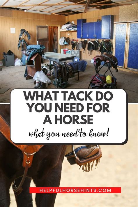 I feel it would be uncomfortable to ride any of the two, therefore, even. What Tack Do You Need for a Horse: Complete Guide in 2020 ...
