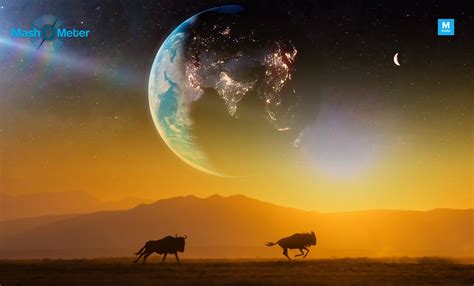 'A Perfect Planet' Review: David Attenborough Is Here To Remind Us Again How This Is Earth's ...