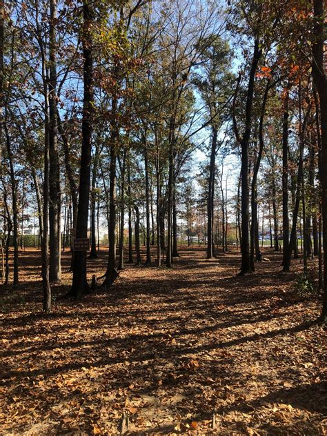 Ave maria grotto, known as 'jerusalem in miniature', and alabama nature at smith lake and hurricane creek park are all within 20 minutes of your room. Heritage Park - Cullman, AL | UDisc Disc Golf Course Directory