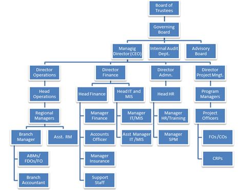 Organogram Template Infographic