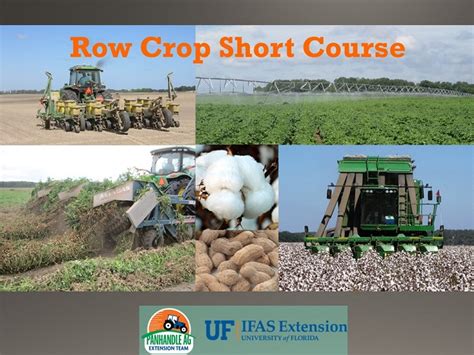Fungicides are important tools for managing many diseases in. 2016 Panhandle Row Crop Short Course Highlights with Links ...