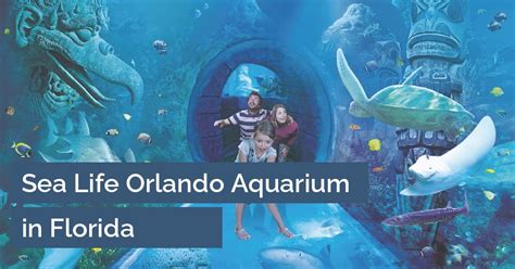 Sea Life Orlando Aquarium In Florida Orlandoparksde