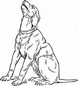 Basset Coloringhome Coonhound sketch template