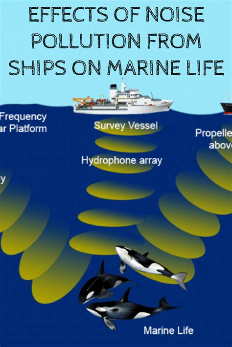 Effects Of Noise Pollution From Ships On Marine Life Noise Pollution