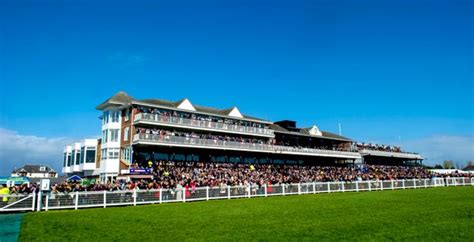 Competition Win A Vip Hospitality Day At Ayr Races Daily Record