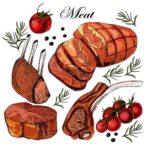Hand Drawing Meat Stock Vector Illustration Of Ingredient 51330478