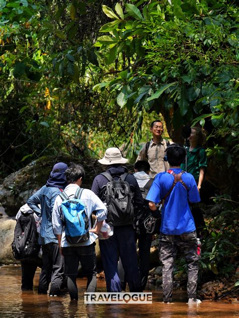 Unleash Your Inner Explorer Must Try Rainforest Hike Cgtn